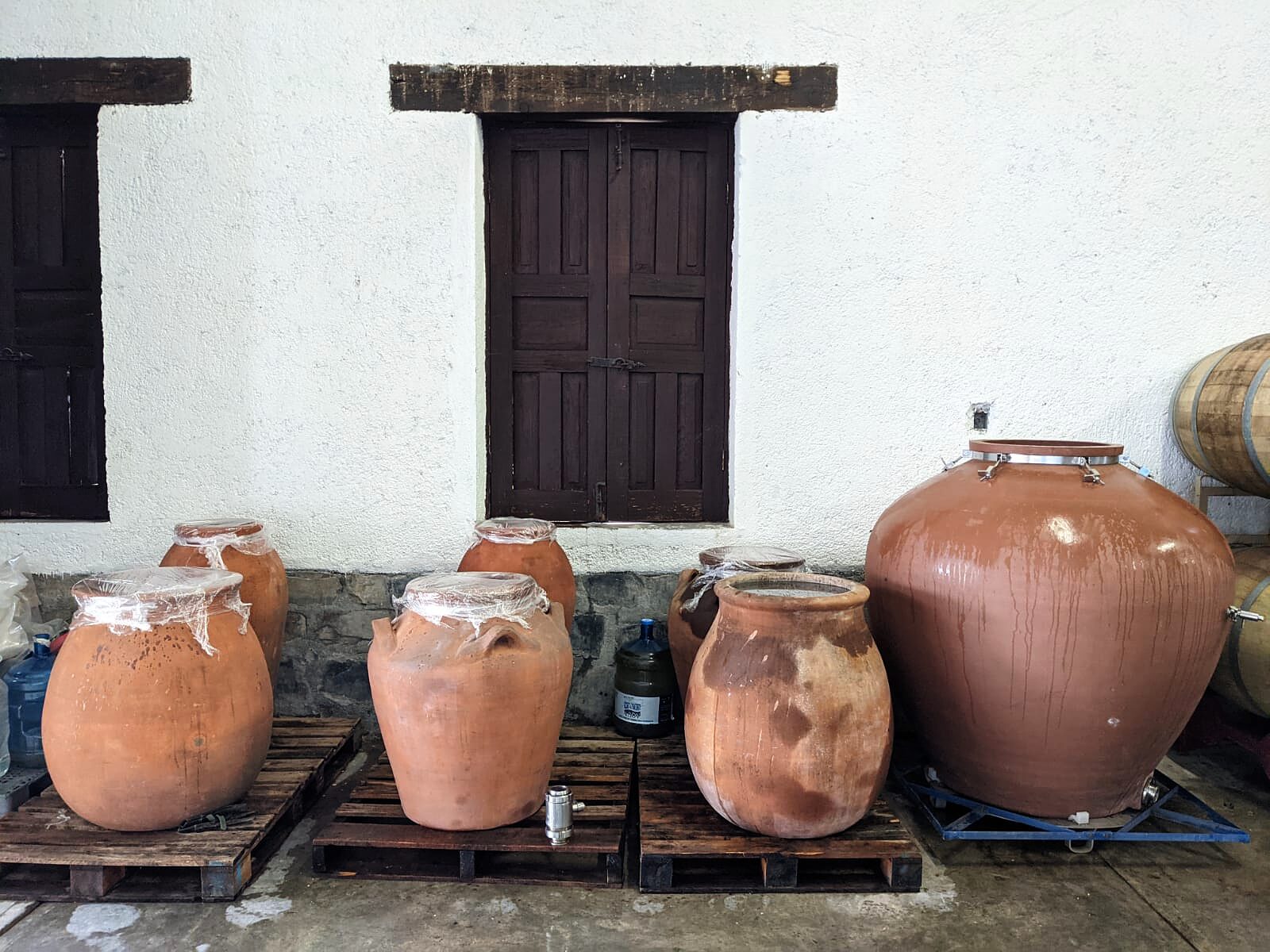 The Amphorae