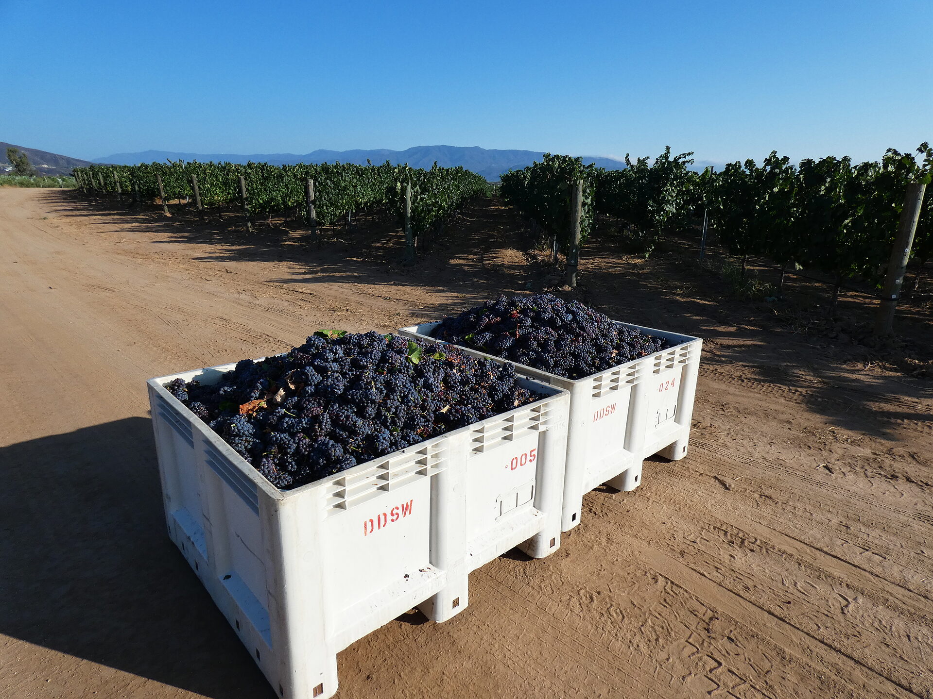 Bins in the Row