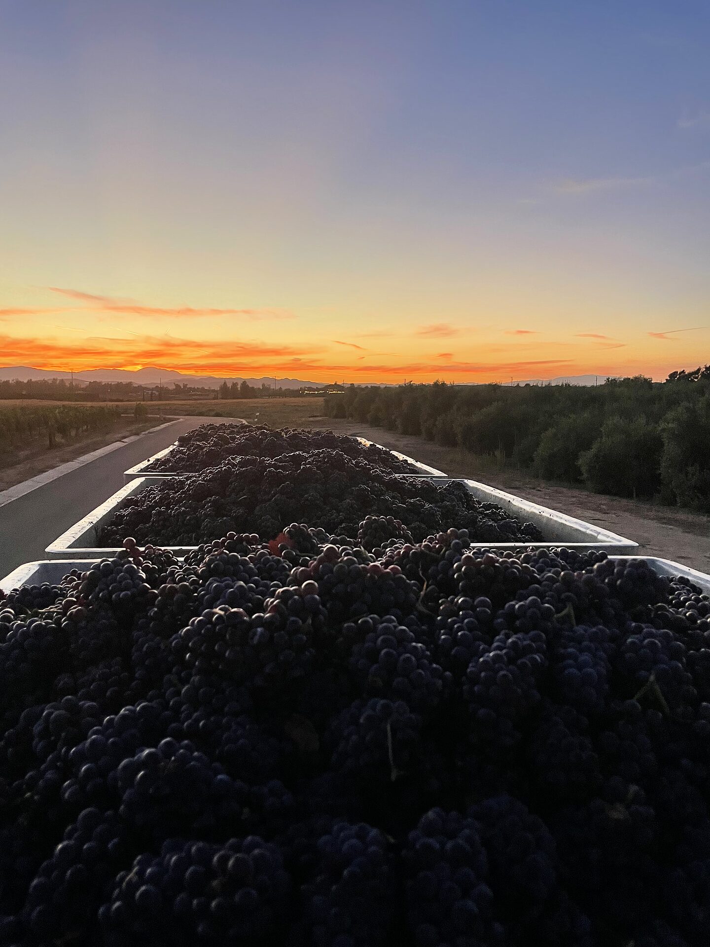 Last Light, Full Bins