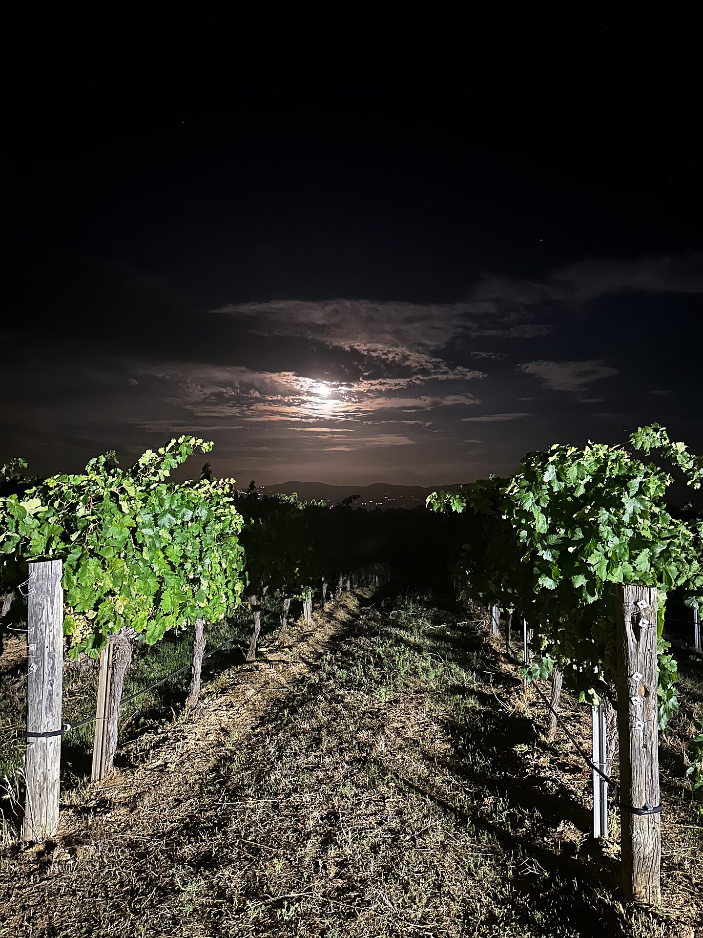 Moonrise Over Block 4