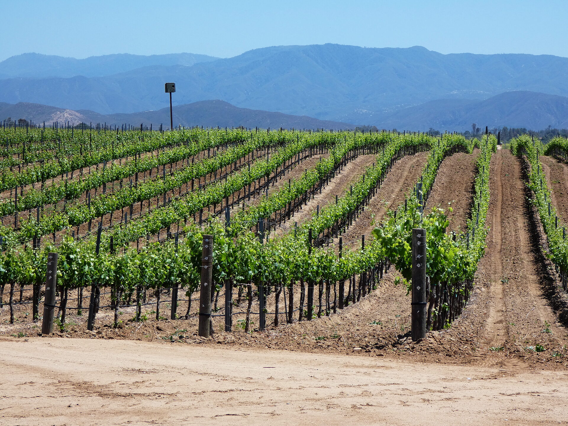 Valley Floor
